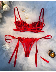 Conjunto De Lencería... 2